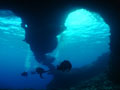 Beluga Diving Vavau