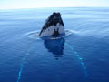 Beluga Diving Vavau